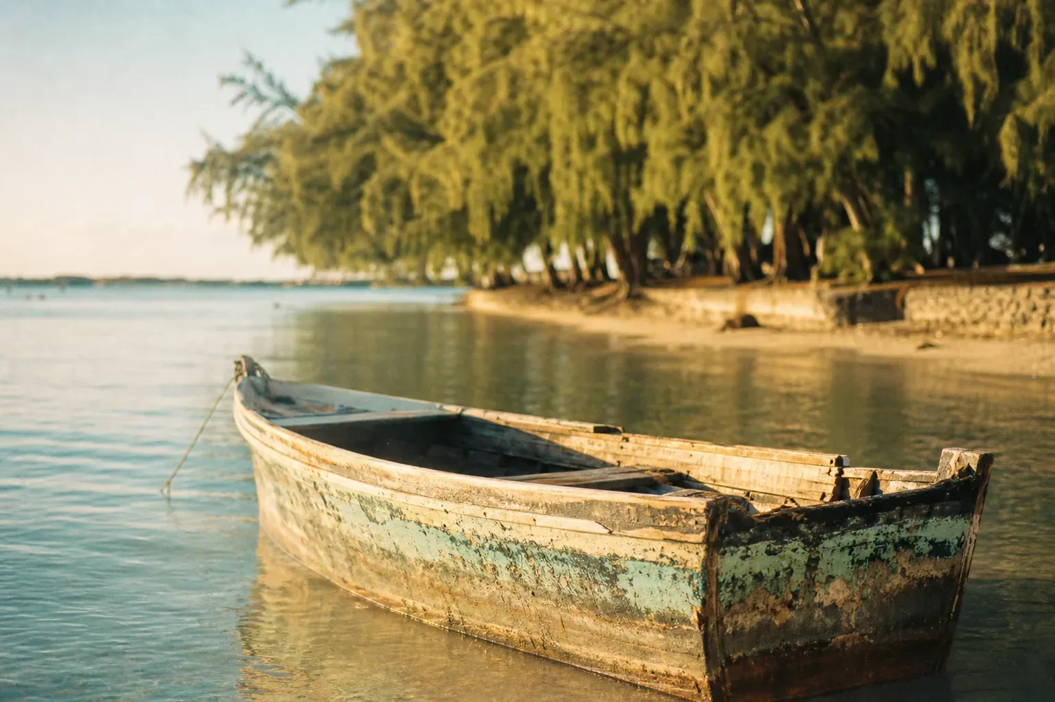 Où investir à l'île Maurice : Nord, Ouest ou Centre, mon comparatif d'habitant