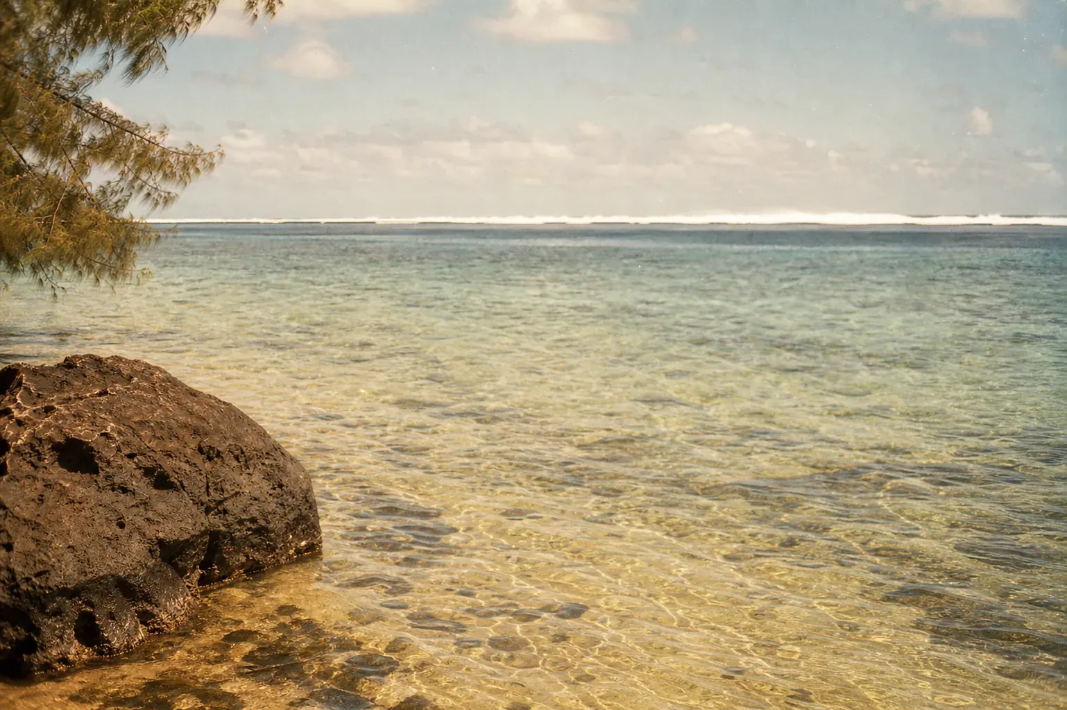 Requins à l'île Maurice : le vrai niveau de risque (spoiler : le lagon est sûr)