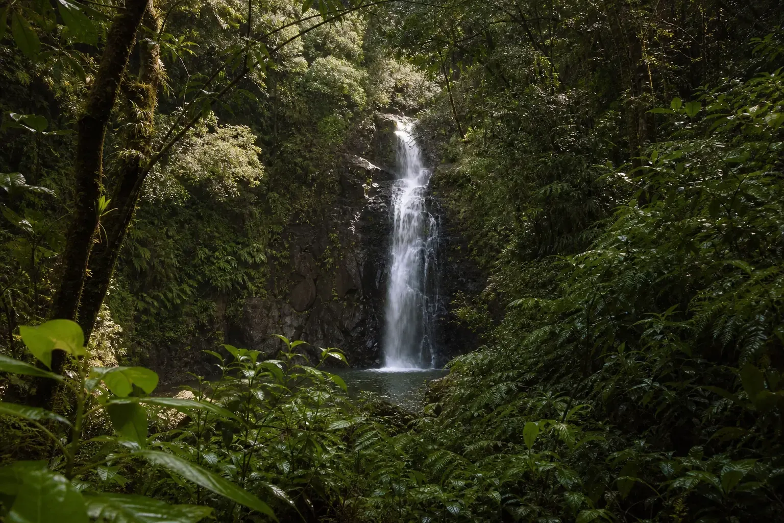 Faune, flore et nature — île Maurice